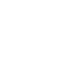 Partnership