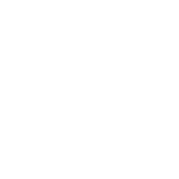 Respiratory & Pulmonary Diagnostics